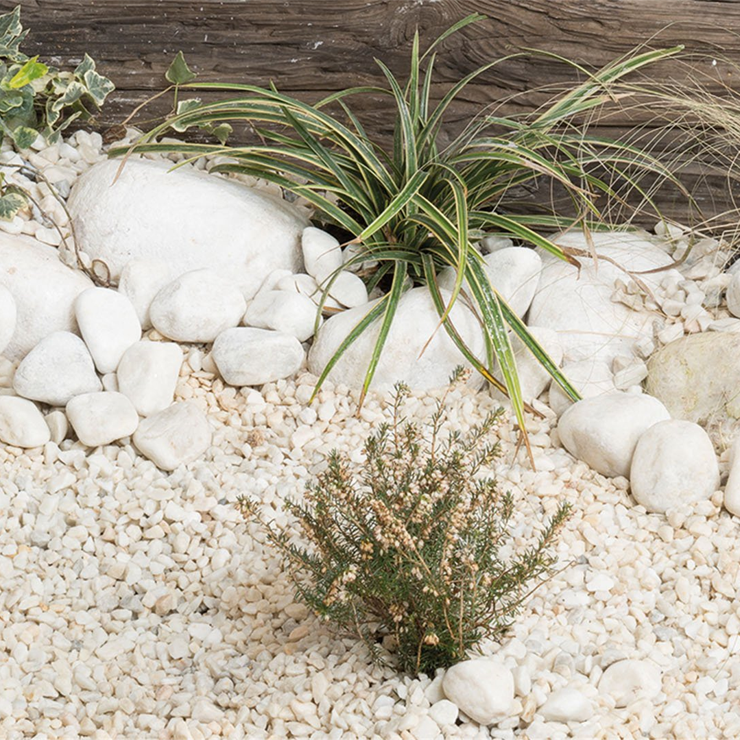 250-300mm Polar White Boulders