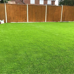 Serenity Namgrass