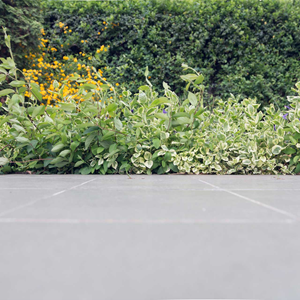 EASYSeal Porcelain Sealer