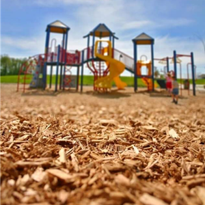 Playground Chip